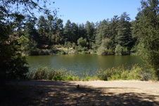 Enlarge photo 46