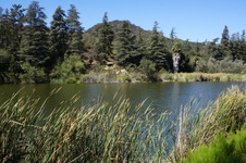 Enlarge photo 47