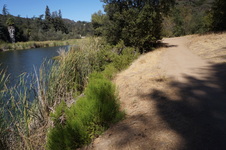 Enlarge photo 48