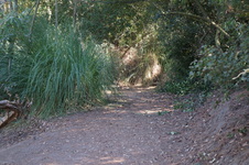 Enlarge photo 50