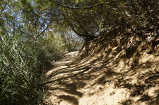 Enlarge photo 51