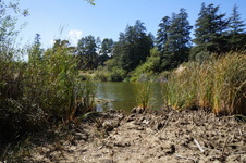 Enlarge photo 52
