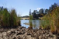 Enlarge photo 54