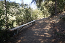 Enlarge photo 55
