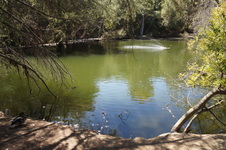 Enlarge photo 26