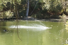 Enlarge photo 27