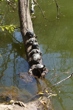 Enlarge photo 28
