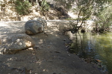 Enlarge photo 22