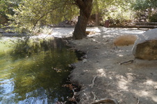 Enlarge photo 29