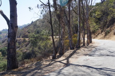 Franklin Canyon Lake Park - Above BH