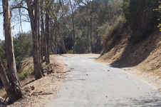 Enlarge photo 2
