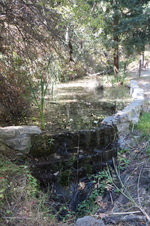 Enlarge photo 58