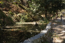 Enlarge photo 59