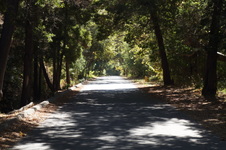 Enlarge photo 63