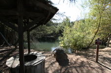 Enlarge photo 65