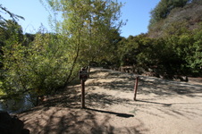 Enlarge photo 66