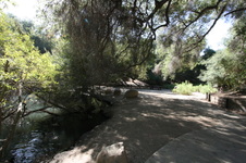 Enlarge photo 68