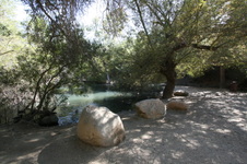 Enlarge photo 69