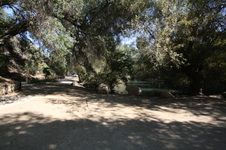 Enlarge photo 71