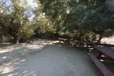 Enlarge photo 72