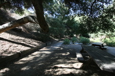 Enlarge photo 73