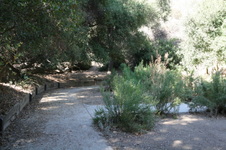 Enlarge photo 74