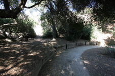 Enlarge photo 75
