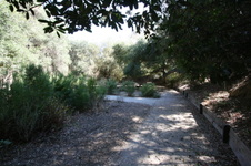Enlarge photo 76