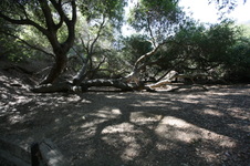 Enlarge photo 77
