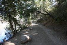 Enlarge photo 78