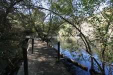 Enlarge photo 81