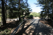 Enlarge photo 82