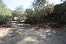 Enlarge photo 83