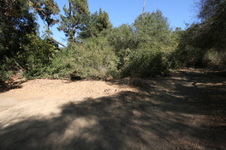 Enlarge photo 84