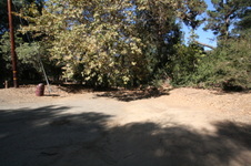 Enlarge photo 85