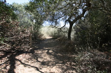Enlarge photo 86