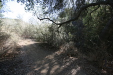 Enlarge photo 88