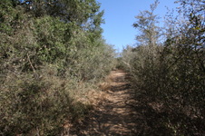 Enlarge photo 89