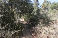 Enlarge photo 90