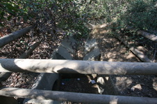Enlarge photo 91