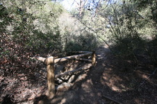 Enlarge photo 92