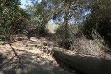Enlarge photo 93