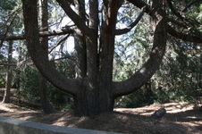 Enlarge photo 94