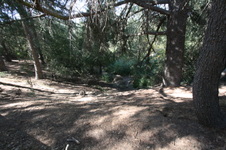 Enlarge photo 95