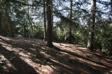 Enlarge photo 96