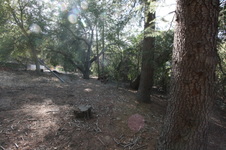 Enlarge photo 97