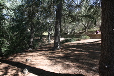 Enlarge photo 98