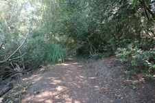 Enlarge photo 99