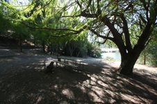 Enlarge photo 102