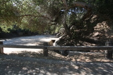 Enlarge photo 106